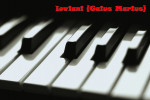 artworks-000017637312-fbglq4-original.jpg