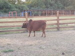 20150829_184628.jpg