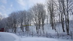 20180228_121533.jpg