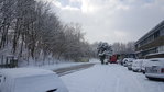 20180228_121537.jpg