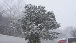 20180301_121711.jpg