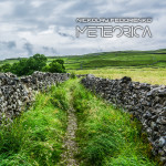Meteorica Day Front.jpg