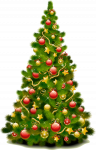 6140352d1251.png