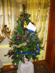 DSC00231.JPG