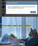 vk.jpg