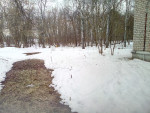 IMG_20210301_160100_5.jpg