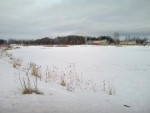 IMG_20210301_160945_3.jpg