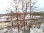 IMG_20210301_162010_4.jpg