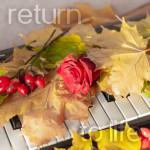 Oleg Lalykin - Return To Life.jpg