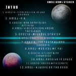 RmDj & Godzia - New Race In A Cosmic Space (List).jpg