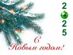 journeyiz_31122_Christmas_tree_branch_with_a_Christmas_lights_059448ee-0732-40cb-81c9-777b89c89fe6_1.jpg