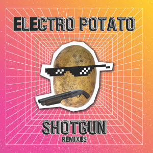 Electro Potato feat. MazsiBazsi