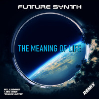 [2024] Future Synth - The Meaning Of Life (Remix)